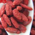 Nova chegada variedade distribuidor goji berry